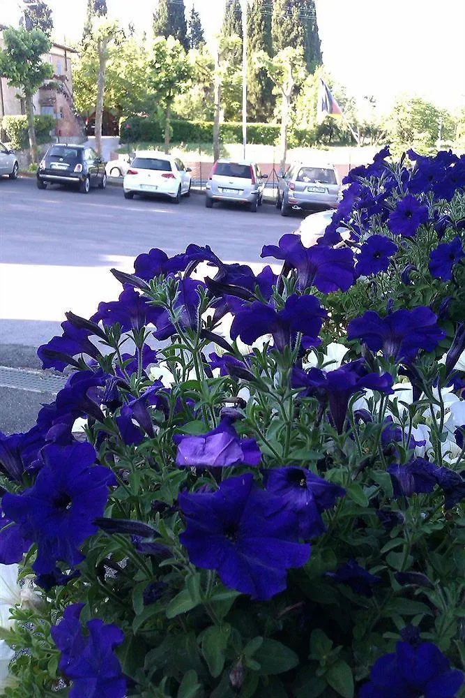 Hotel I Platani Σιένα Ιταλία